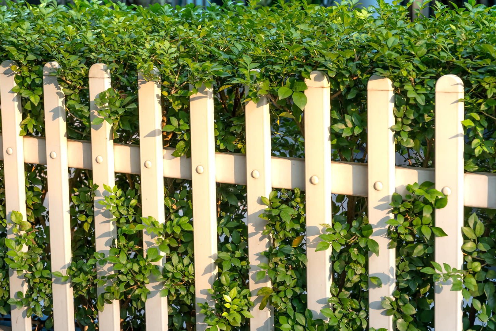 wooden picket fence in Slidell